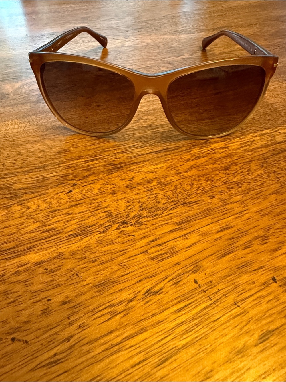 Coach Blakely HC8117 Sunglasses Milky Saddle Brown